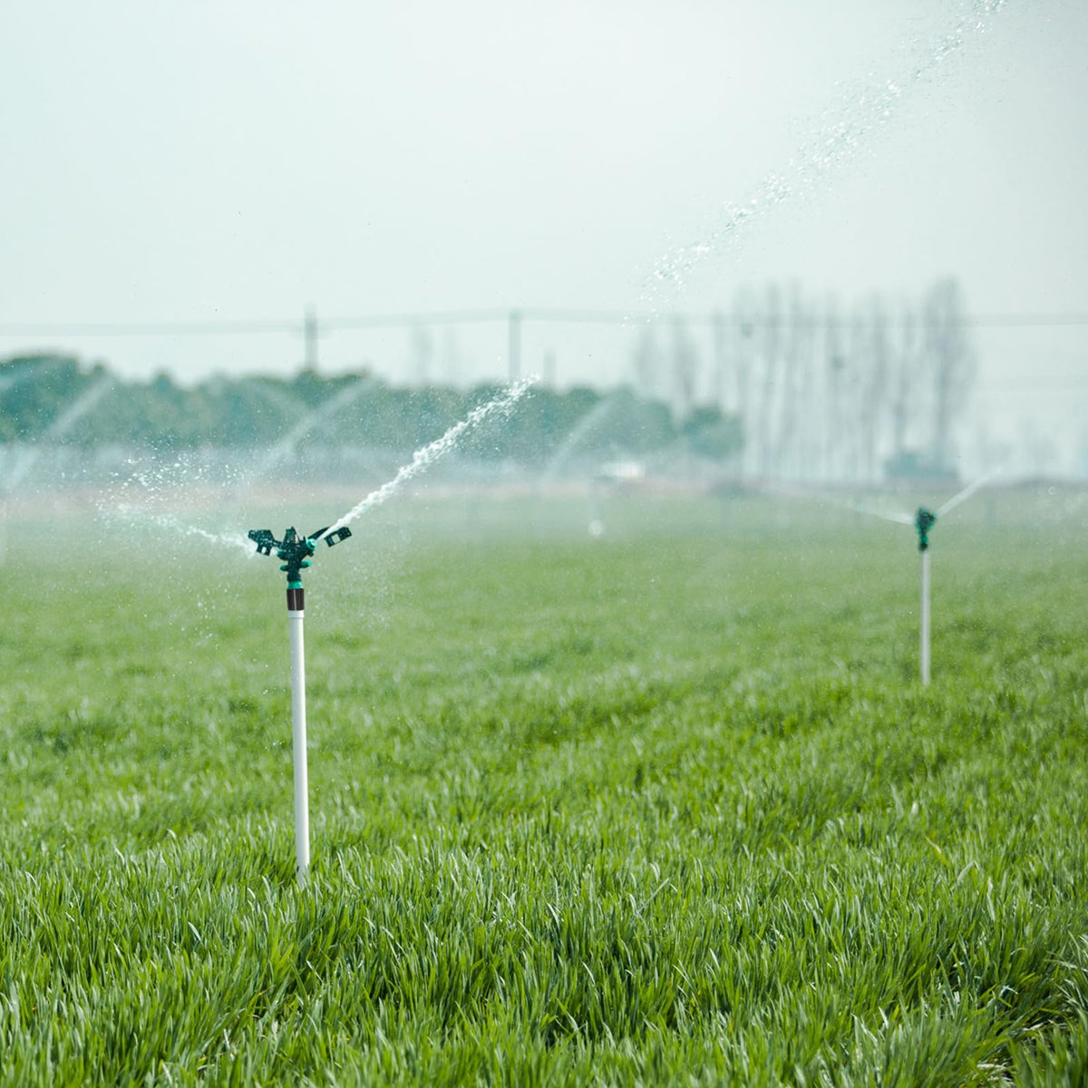 WXNTLDOH irrigation system versatility supports various garden layouts.