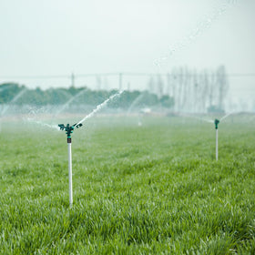 WXNTLDOH irrigation system versatility supports various garden layouts.
