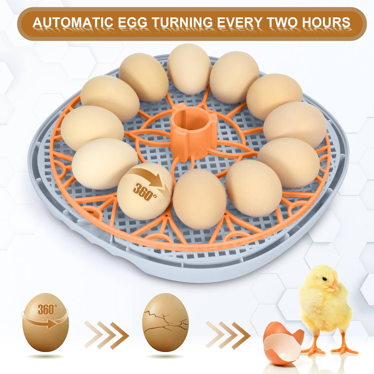 WYD2ANG Mechachick incubator automatic-turner enables hands-free egg rotation.