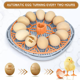 WYD2ANG Mechachick incubator automatic-turner enables hands-free egg rotation.