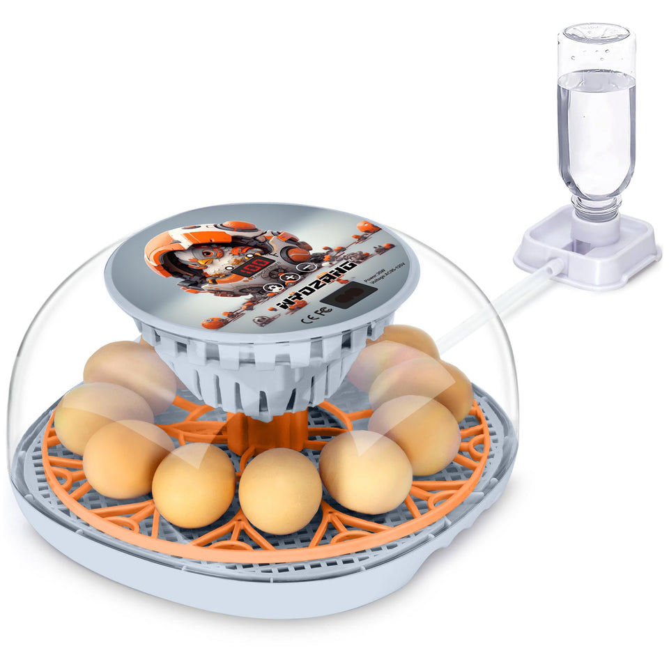 WYD2ANG Mechachick incubator front view highlights easy setup for beginners.