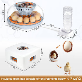 WYD2ANG Mechachick incubator hatch-view captures the moment chicks emerge.