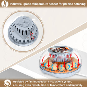 WYD2ANG Mechachick incubator humidity system maintains steady humidity levels.