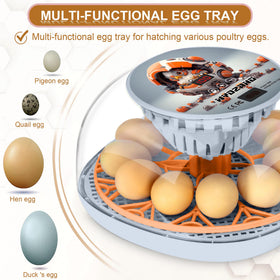 WYD2ANG Mechachick incubator interior with egg tray for versatile hatching options.