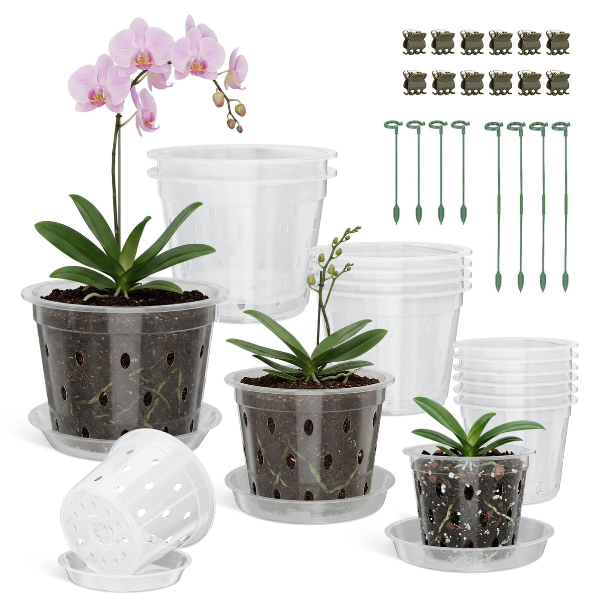 Wyegey clear orchid pot 4-inch shows root visibility for easy watering