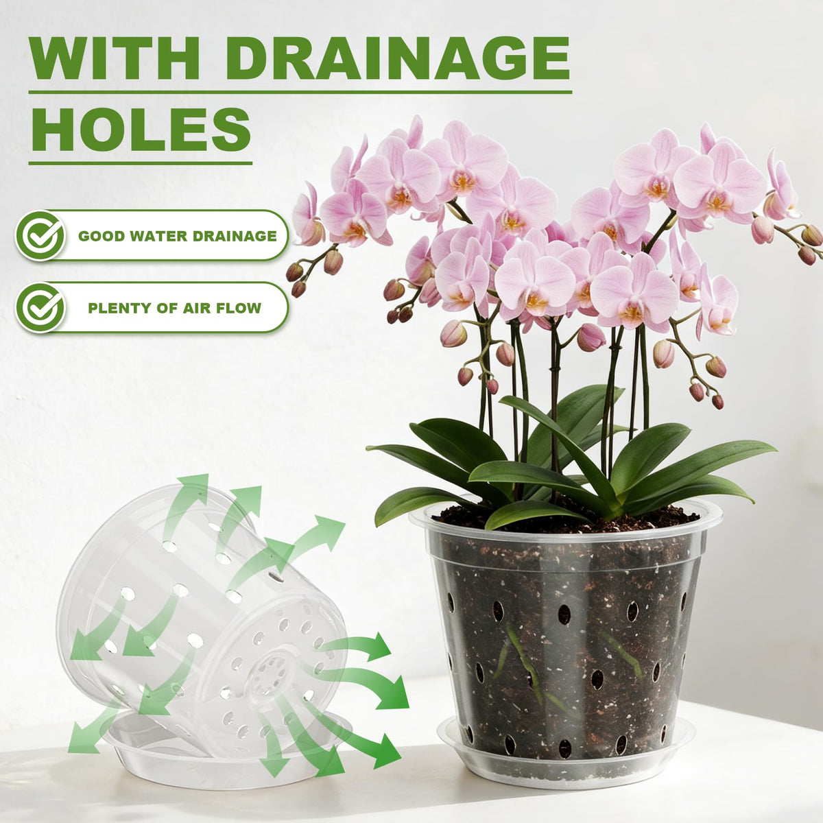 Wyegey clear orchid pot 5-inch ideal for aeration and moisture check