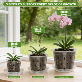 Wyegey clear orchid pot 6-inch supports healthy growth with drainage