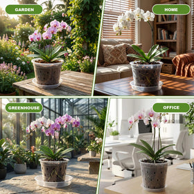 Wyegey multi-use pot versatile for orchids and other houseplants indoors