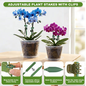 Wyegey plant stake kit stabilizes tall orchid stems