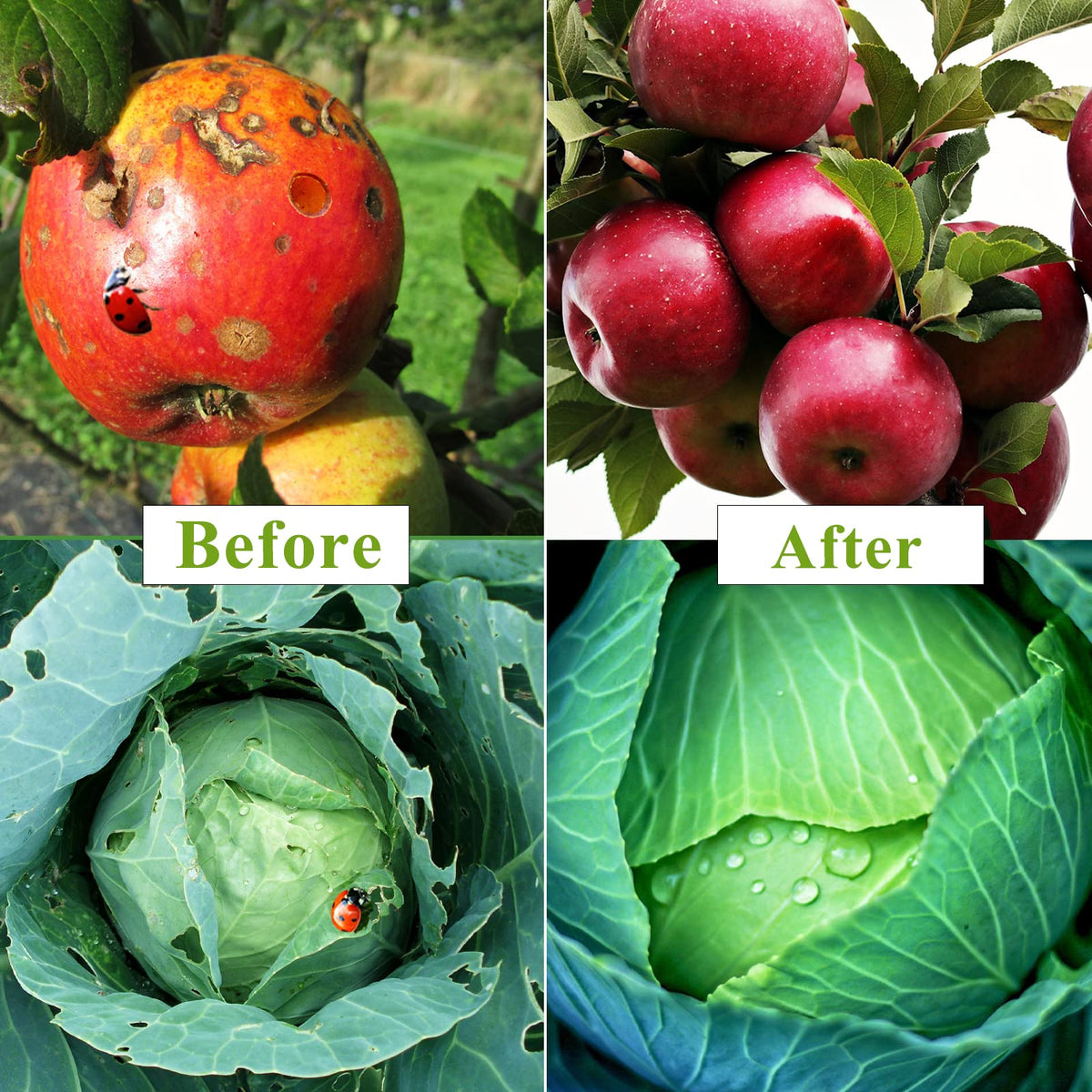 WYRJXYB easy-installation-setup for quick, tool-free garden protection.