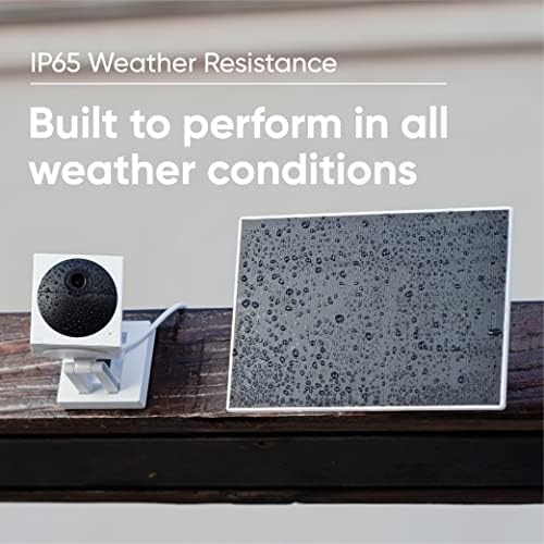Wyze solar panel harvesting sunlight to recharge outdoor cameras.