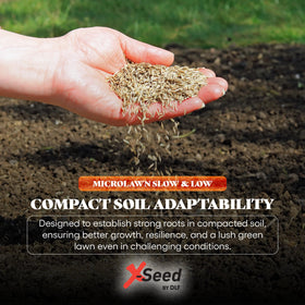 X-Seed creeping red fescue blade demonstrates deep roots for drought resilience.