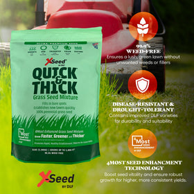 X-Seed lawn after germination with dense emerald tufts