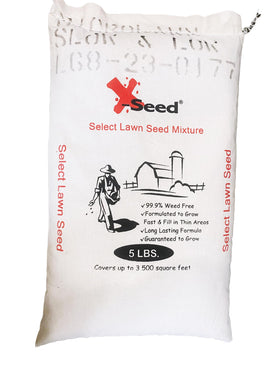 X-Seed dense turf in sun and shade proves versatile growth.