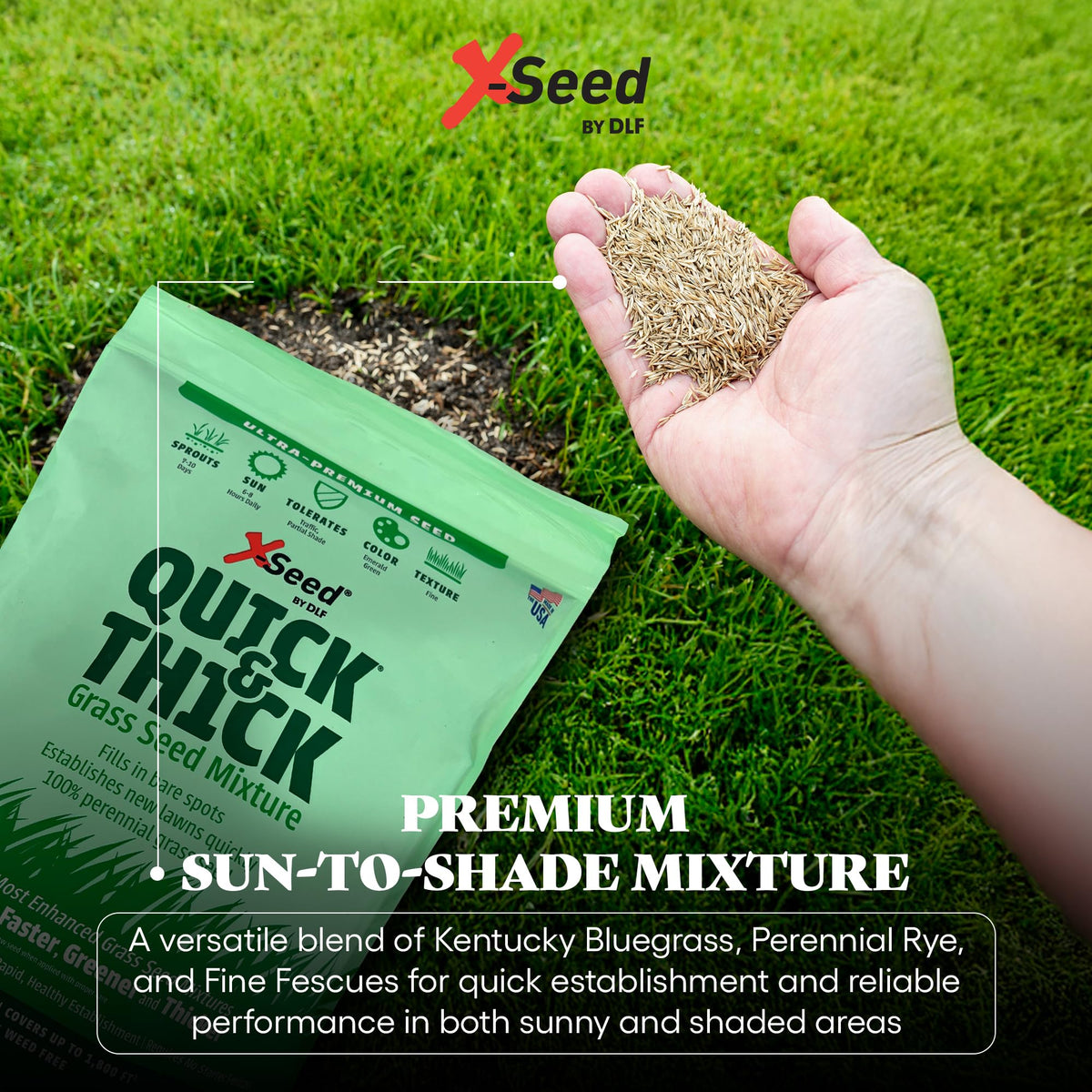 X-Seed ready for high-traffic lawns after establishment