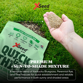 X-Seed high-traffic lawn seed for pets and play
