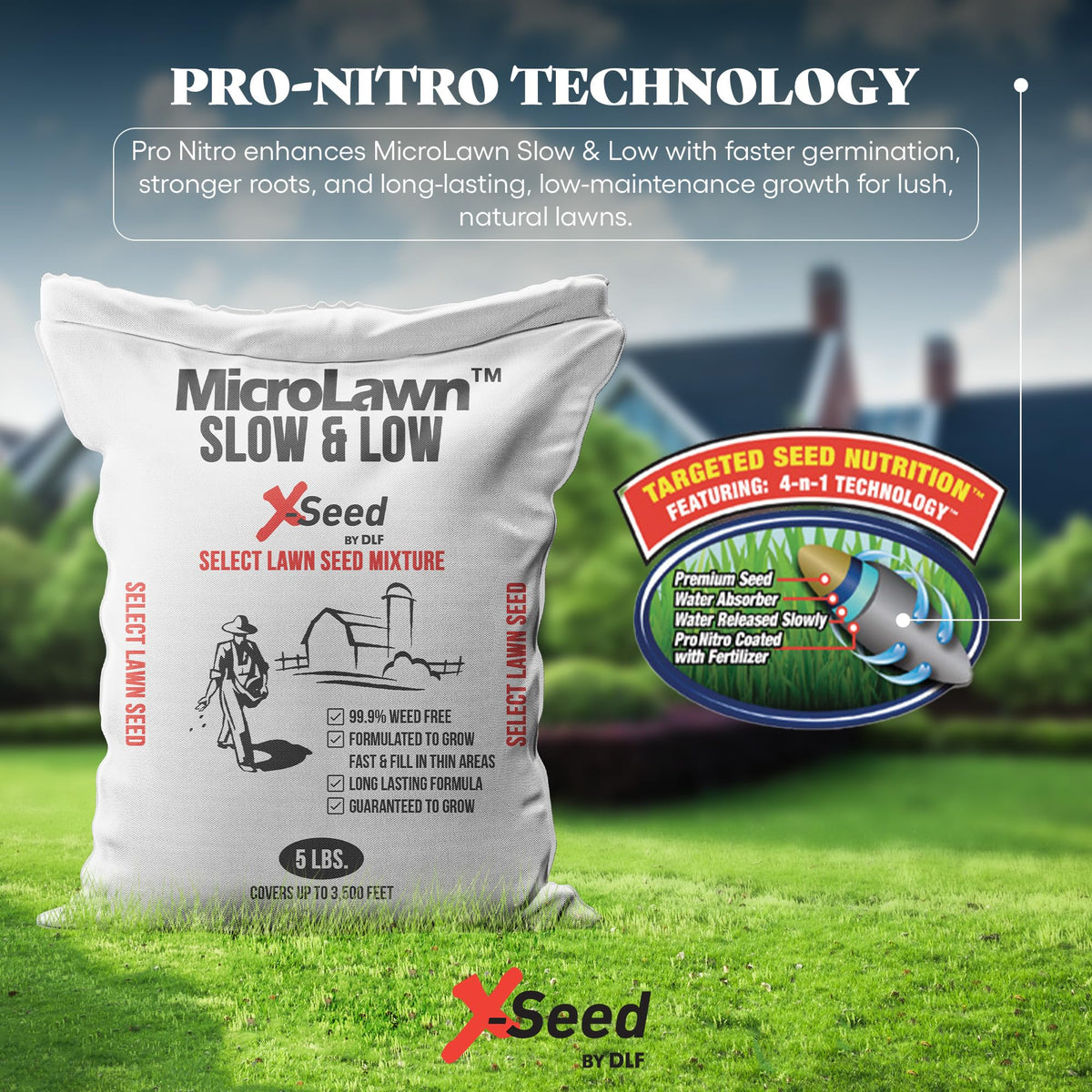 X-Seed intermediate ryegrass blade supports durable growth in high-traffic areas.