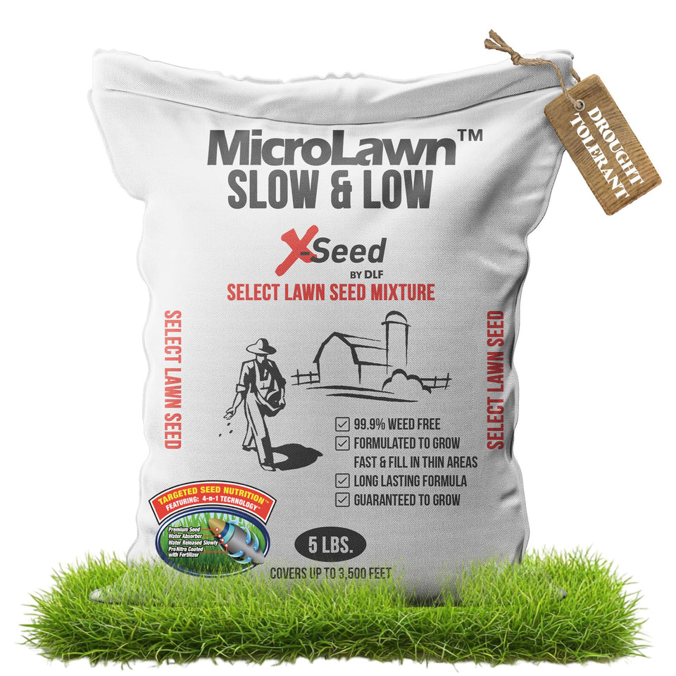 X-Seed Micro-Lawn Seed Mix bag showcases versatile cool-season coverage for busy lawns.