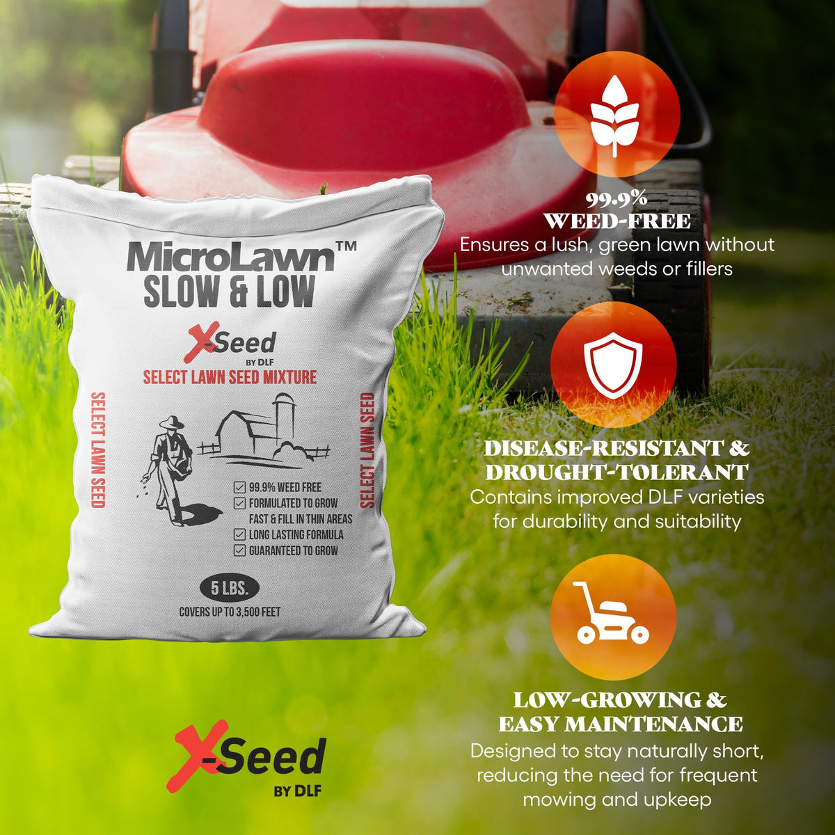 X-Seed microclover close-up highlights natural soil enrichment for thriving turf.