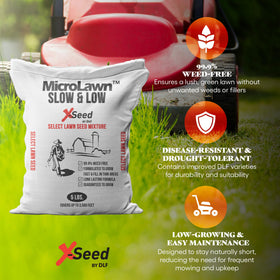 X-Seed microclover close-up highlights natural soil enrichment for thriving turf.