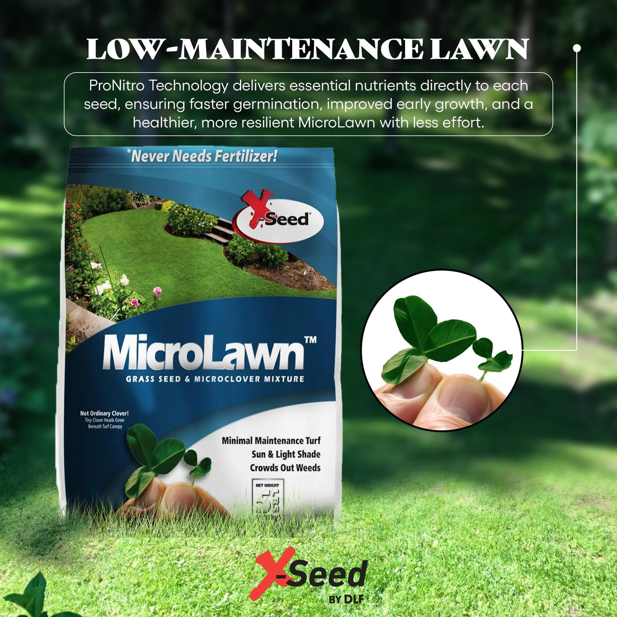 X-Seed Microlawn drought-resilient lawn thriving in sun and shade.