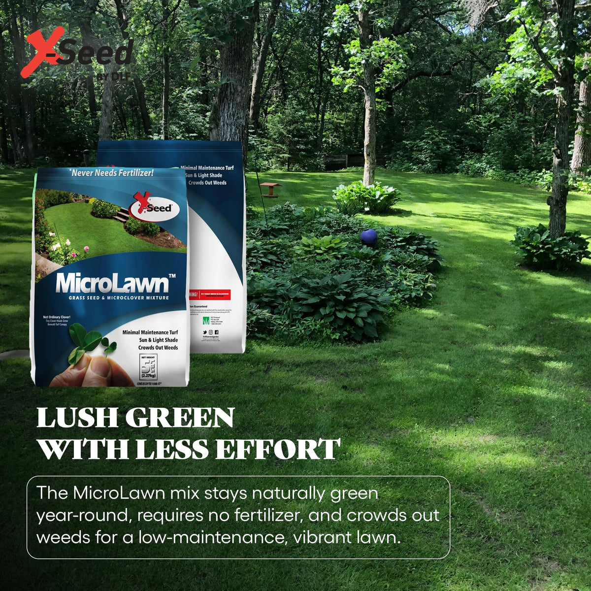 X-Seed Microlawn microclover enriches soil naturally between mowing.