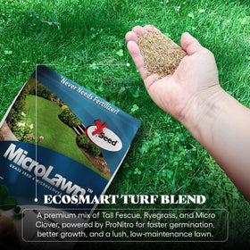 X-Seed Microlawn lush turf in a back yard during traffic.
