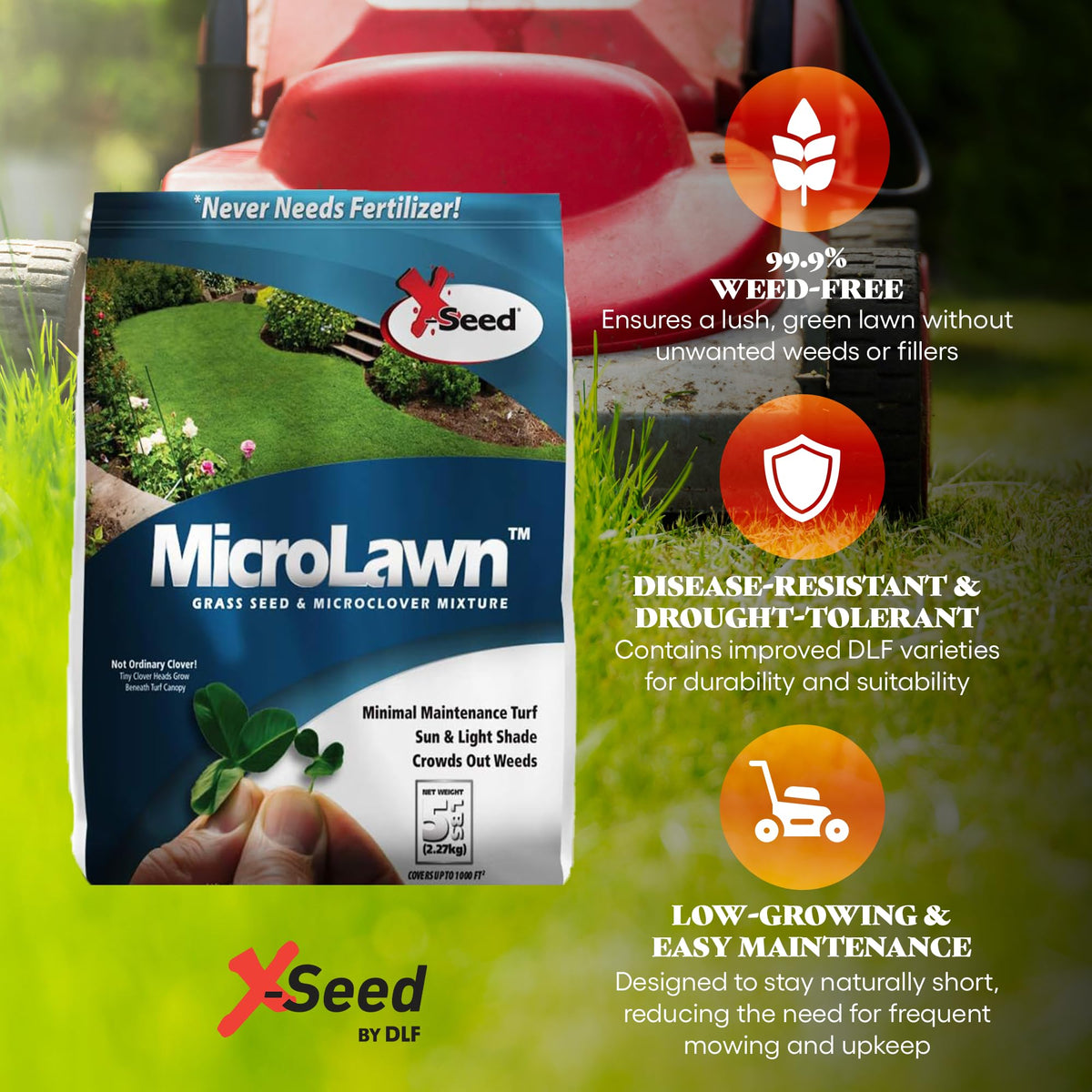 X-Seed Microlawn seed blend closeup showing microclover and grasses.