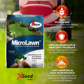 X-Seed Microlawn seed blend closeup showing microclover and grasses.