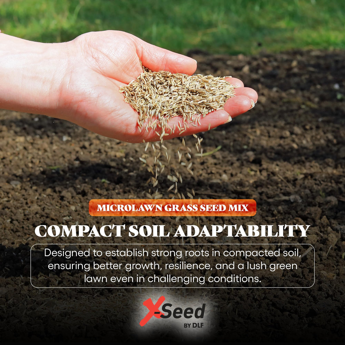 X-Seed Microlawn hydroseeding-ready coated seeds for faster germination.