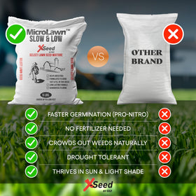 X-Seed no-mow lawn image highlights low-maintenance, evergreen turf.