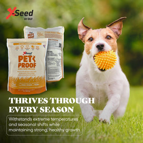 X-Seed Pet Proof Fescue all soil types adapts to various soils