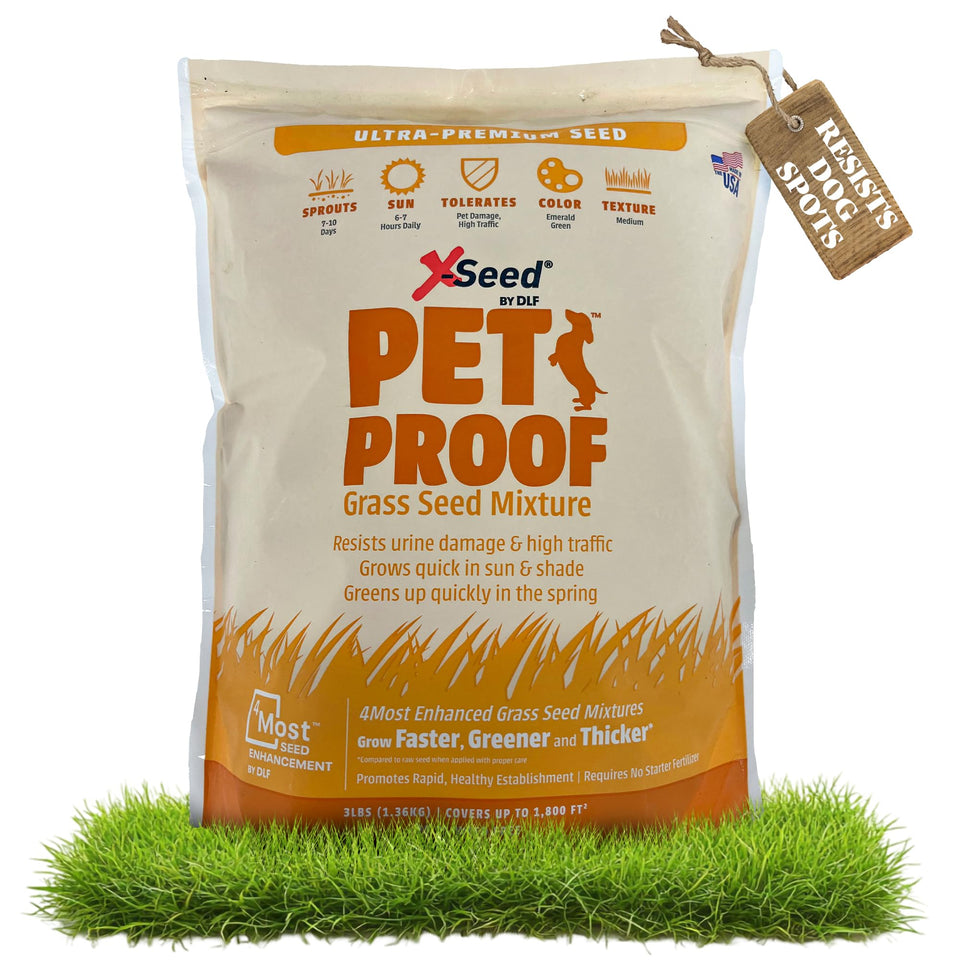 X-Seed Pet Proof Fescue dense-lawn for a pet friendly yard