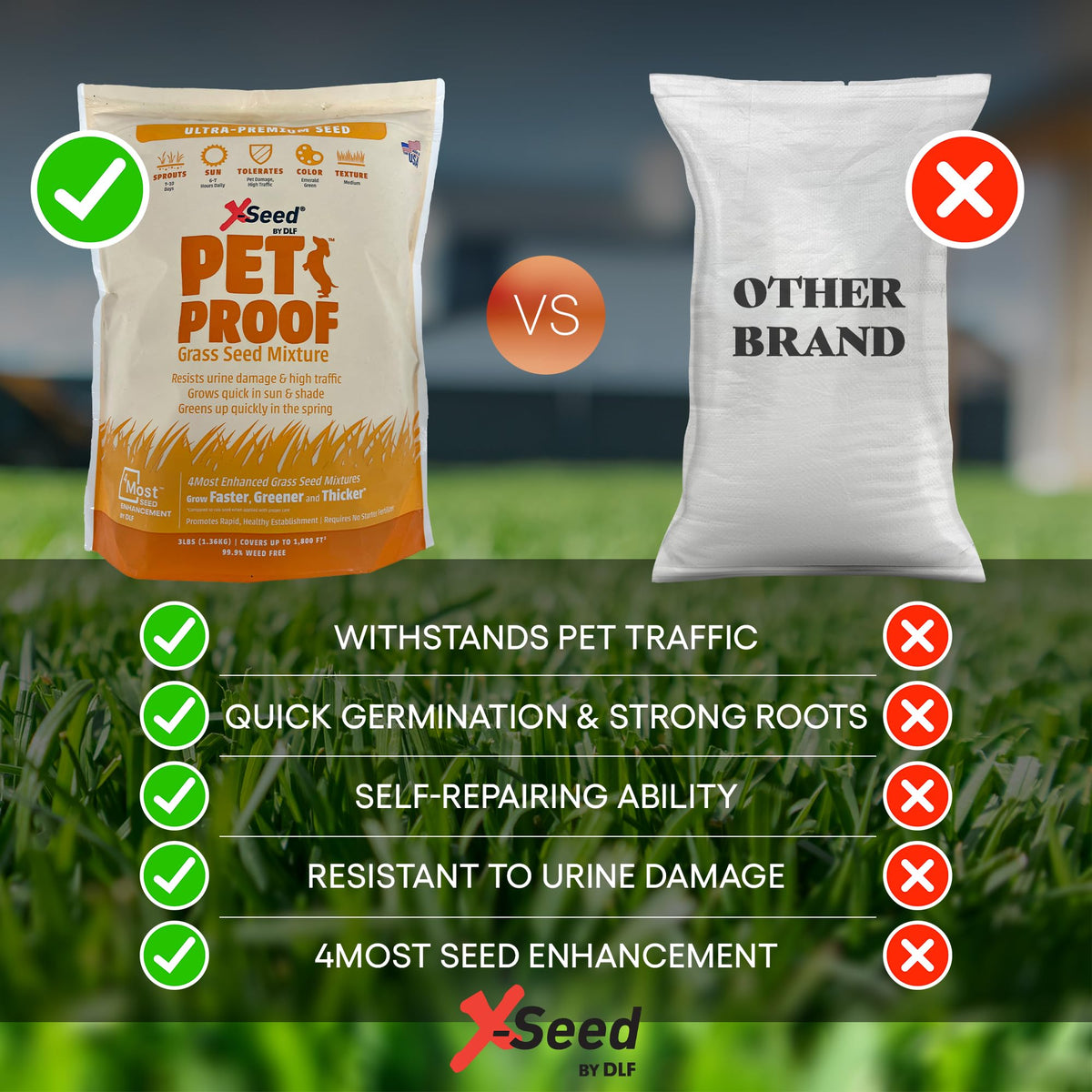 X-Seed Pet Proof Fescue early-spring green up with vibrant color