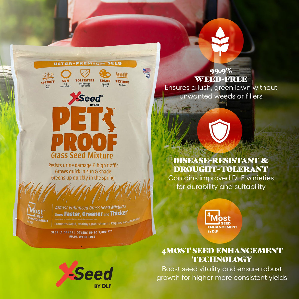 X-Seed Pet Proof Fescue germination in sun and shade for fast establishment