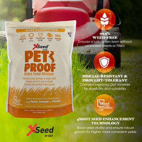 X-Seed Pet Proof Fescue germination in sun and shade for fast establishment