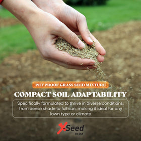 X-Seed Pet Proof Fescue high-traffic durability in busy outdoor spaces