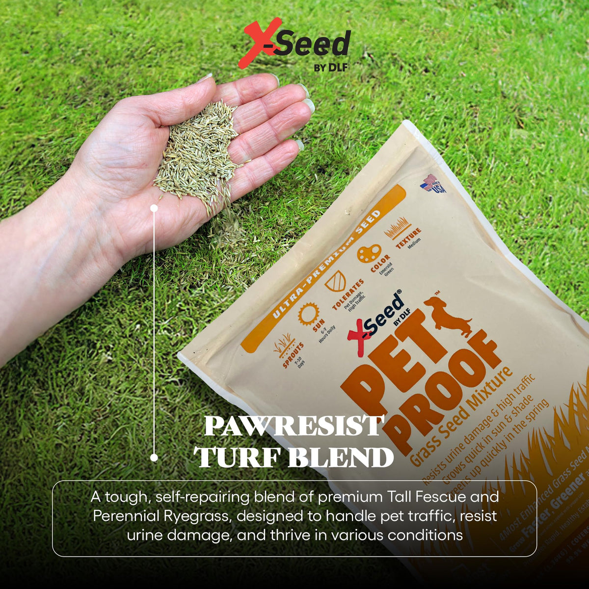 X-Seed Pet Proof Fescue perennial-blend for long lasting turf