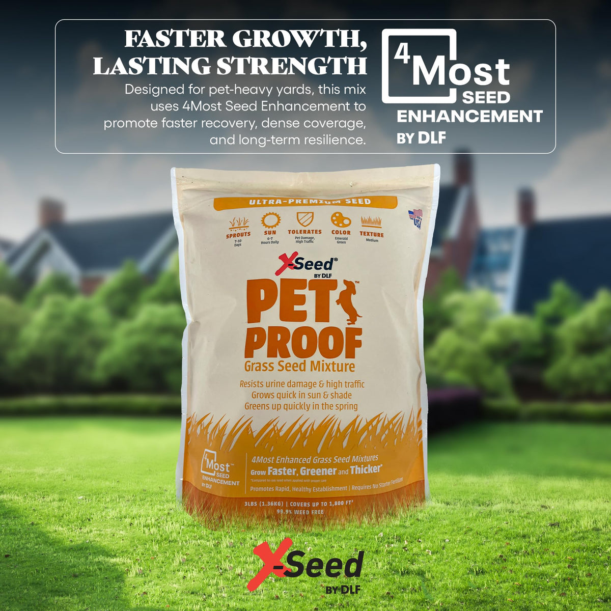 X-Seed Pet Proof Fescue urine-resistance for pet areas