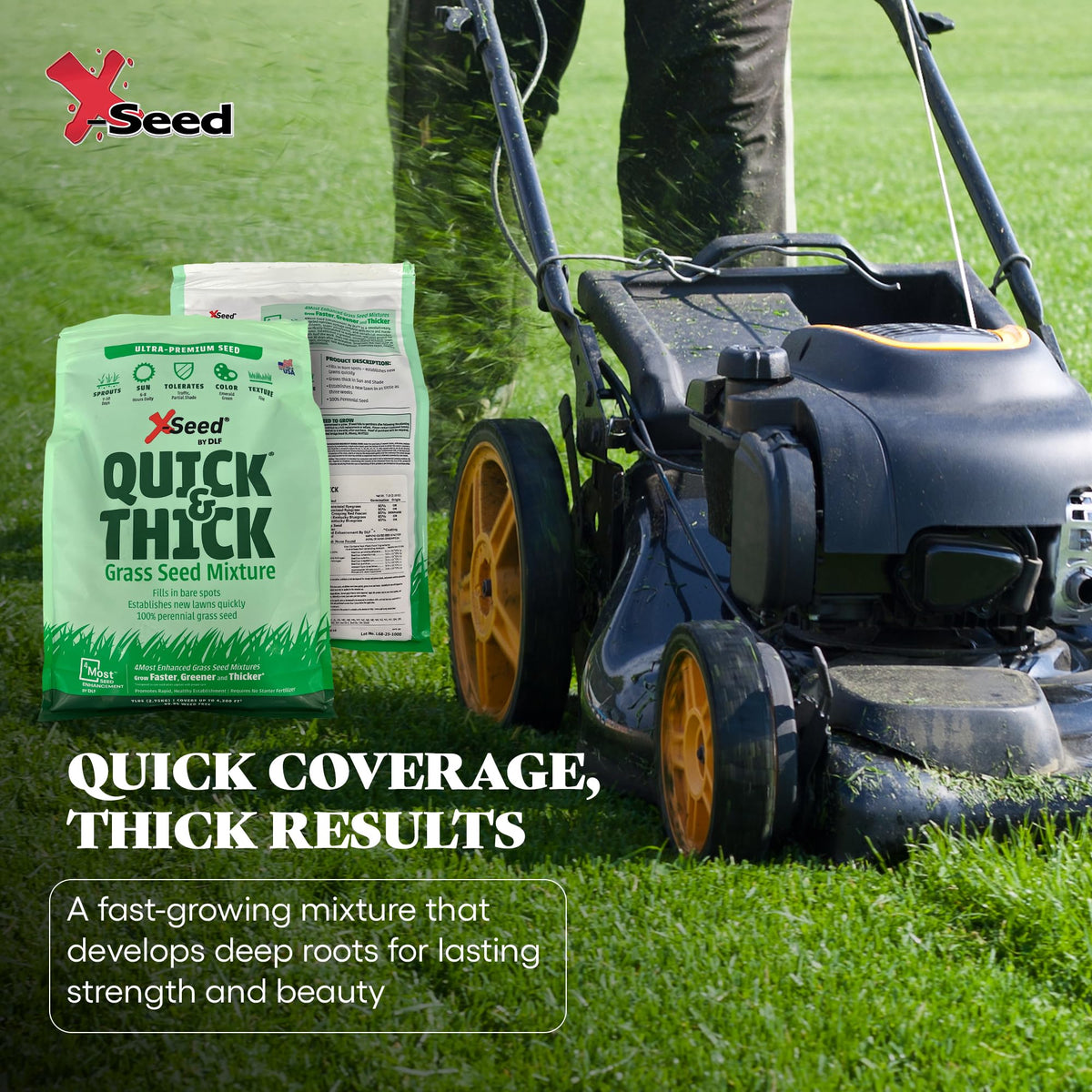 X-Seed renovation and new-lawn seed for bare spots