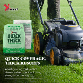 X-Seed renovation and new-lawn seed for bare spots