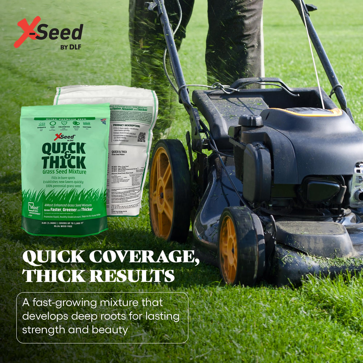 X-Seed adapts from sun to shade for versatile lawns