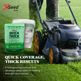 X-Seed adapts from sun to shade for versatile lawns