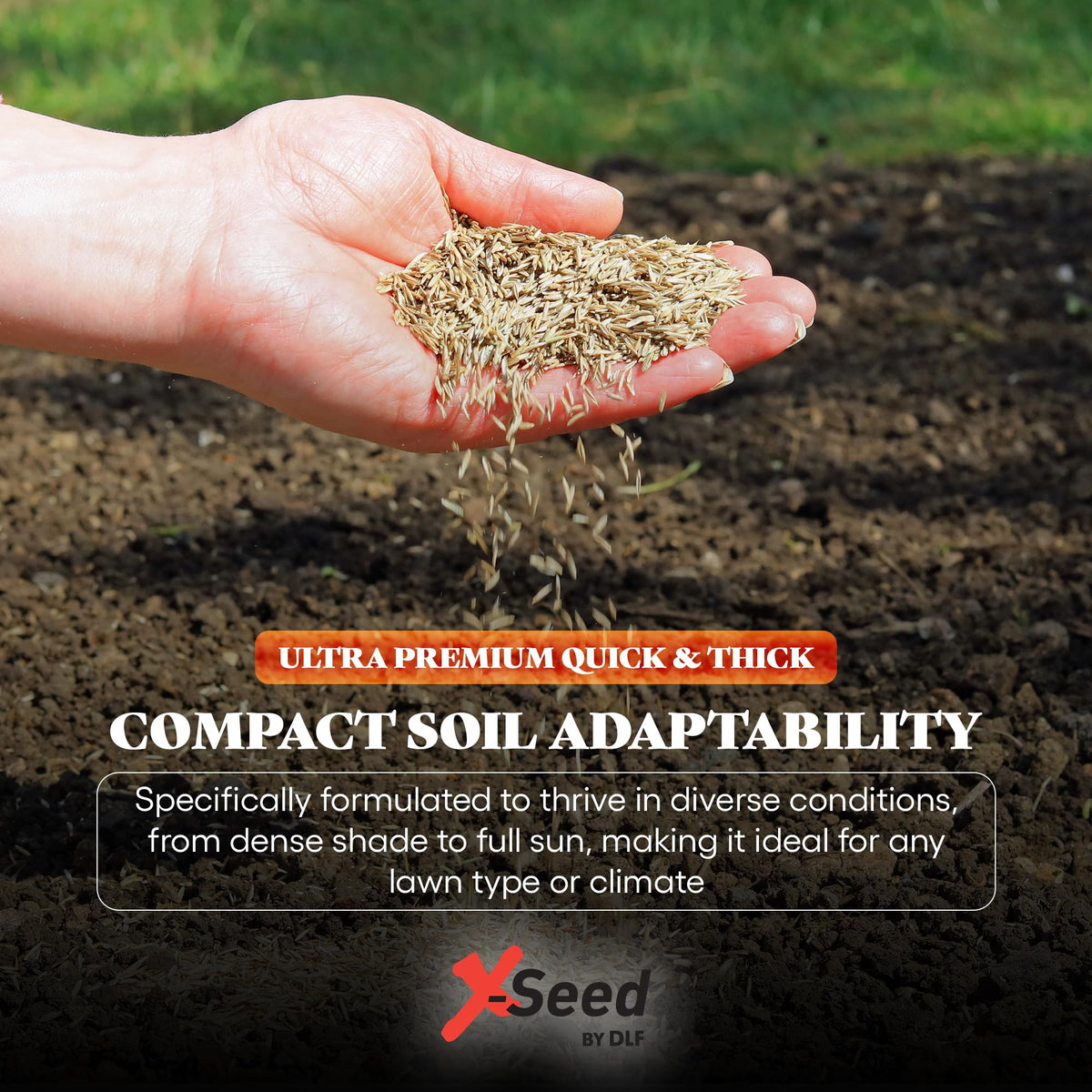X-Seed weed-free blend for a clean, vibrant lawn