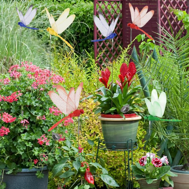 Xandova dragonfly clip used as patio accent with colorful display