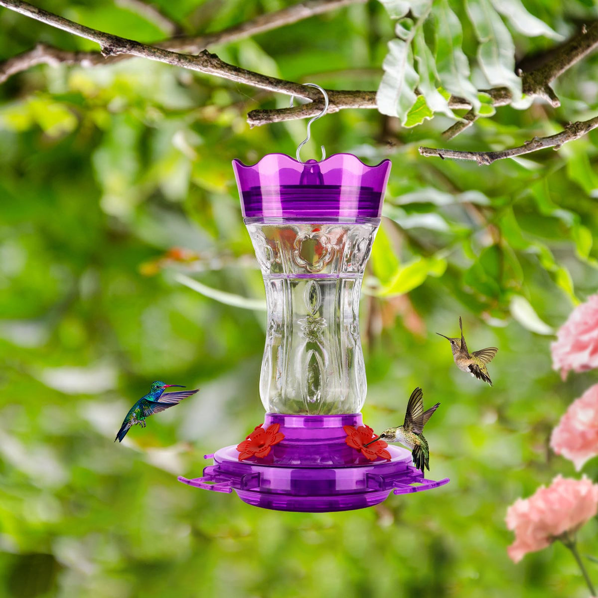 XAROO ant moat cap keeps ants away from nectar for cleaner feeding