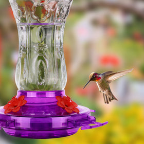 XAROO bee guard port reduces bee access while attracting hummingbirds