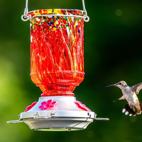 XAROO 15 oz capacity feeder for longer feeding windows