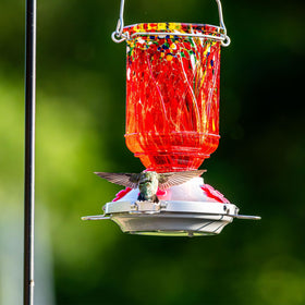 XAROO gift-ready hummingbird feeder for bird lovers
