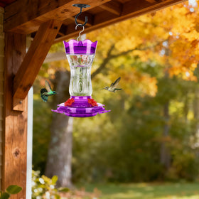 XAROO leakproof base ensures steady feeding on windy days
